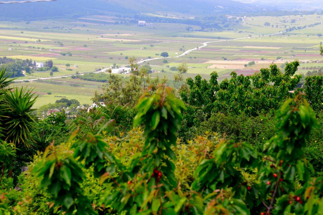 Villa Angelina Selva Di Fasano Dış mekan fotoğraf